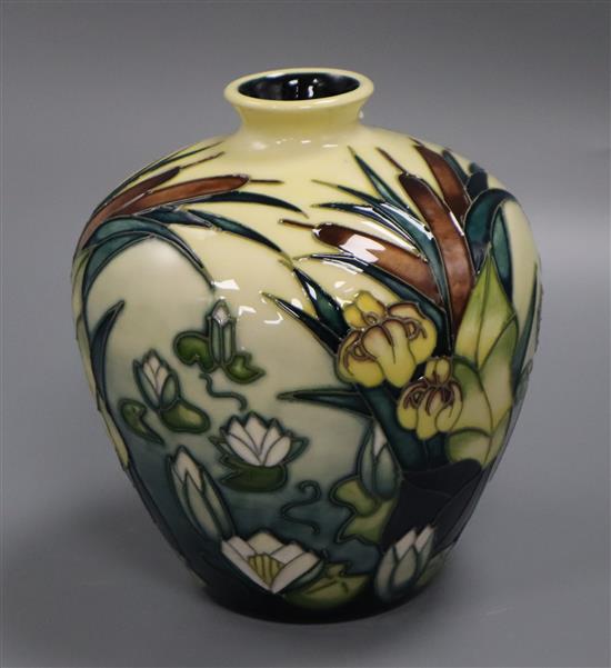 A Moorcroft bulrushes baluster vase height 16cm